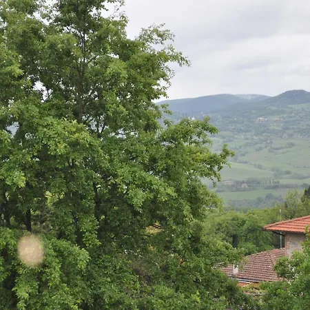La Terrazza Da Barbara